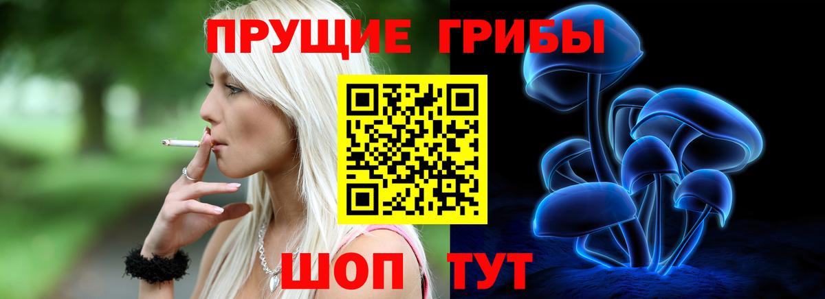 Галлюциногенные грибы Cubensis  Вход с VPN  Михайловка 