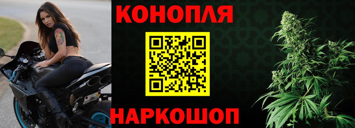 Каннабис план Михайловка